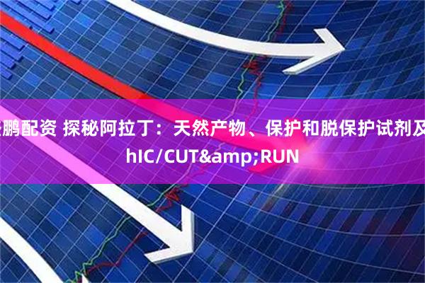 盛鹏配资 探秘阿拉丁：天然产物、保护和脱保护试剂及ChIC/CUT&RUN