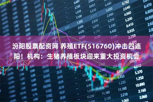 汾阳股票配资网 养殖ETF(516760)冲击四连阳！机构：生猪养殖板块迎来重大投资机会
